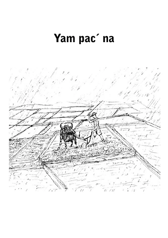 Yam paicˊ na